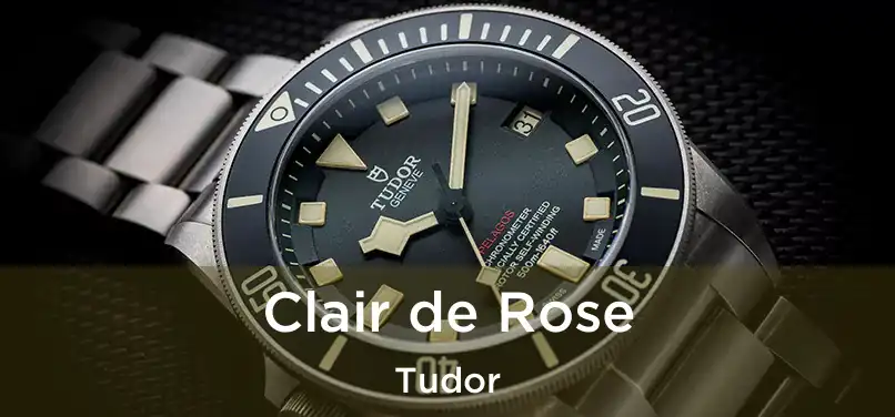 Clair de Rose Tudor