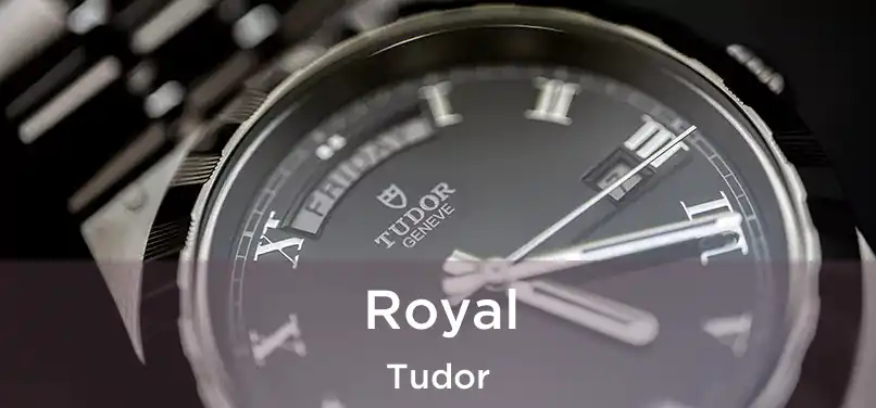  Royal Tudor